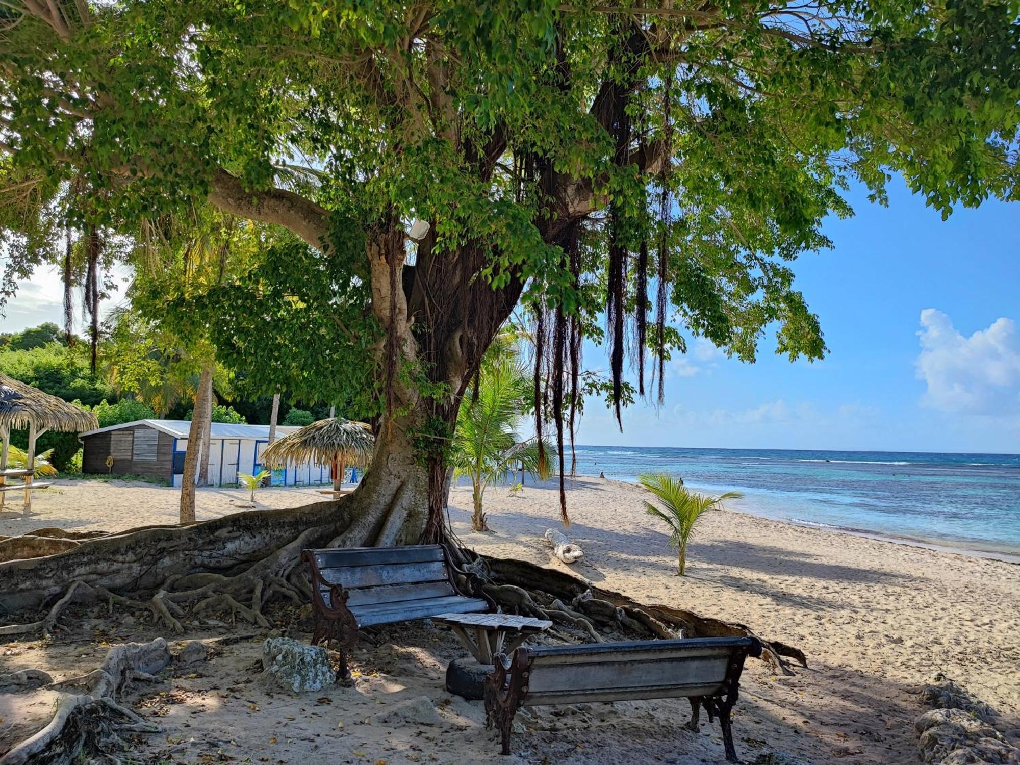 Studio Kawane Anse Des Rochers 303 Rdc, Cote Mer Saint-Francois  Esterno foto